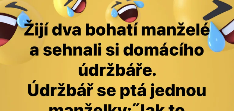 Vtip: Žijí dva bohatí manželé a sehnali si domácího údržbáře. Údržbář se ptá jednou ….