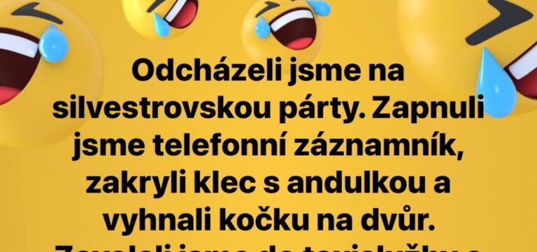 VTIP: Odcházeli jsme na silvestrovskou párty. Zapnuli jsme telefonní záznamník…