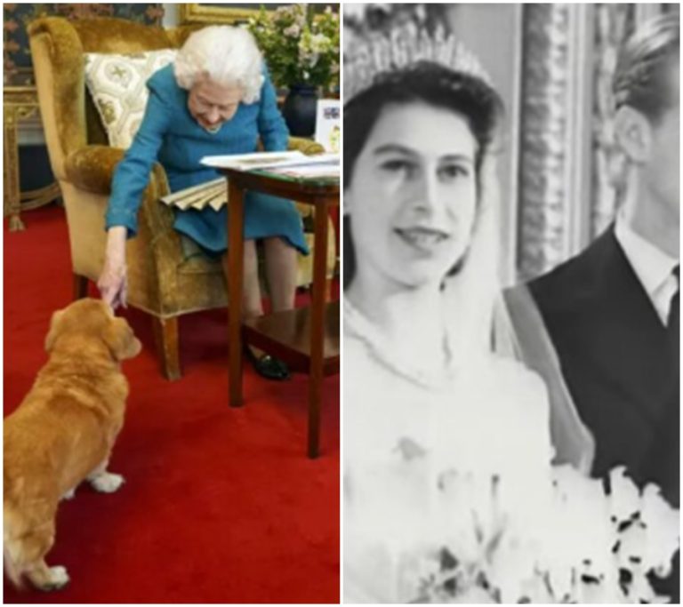 Zahalený v tajemství: Alžběta II. ukryla neuvěřitelného hosta ve svatební den před očima světa