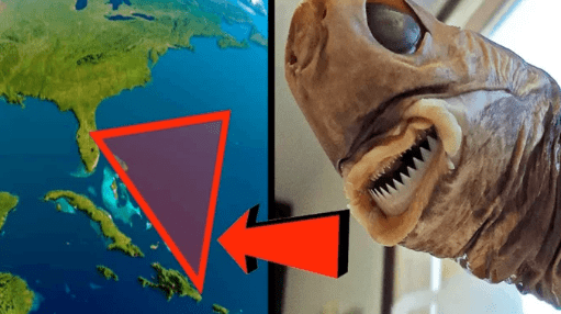 Zvěrstvo v Bermudském trojúhelníku: Hladový netvor se živí vraky lodí!