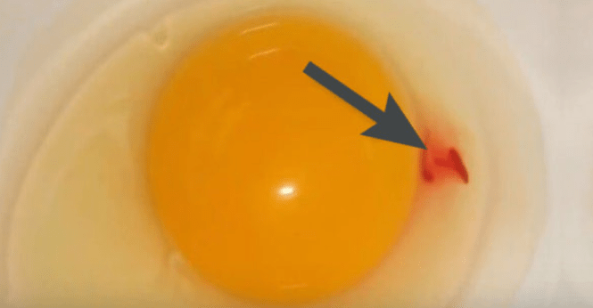 Červená skvrna ve vejci: Tajemství a nebezpečí odhalena