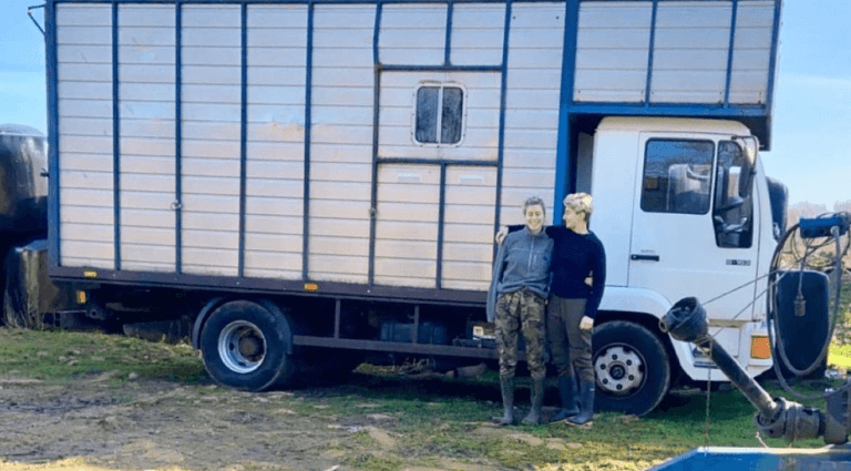 Z opuštěného přívěsu na koně k vysněnému domovu na kolech: Příběh mladého páru, který změnil starý kočár ve svůj mobilní sen!