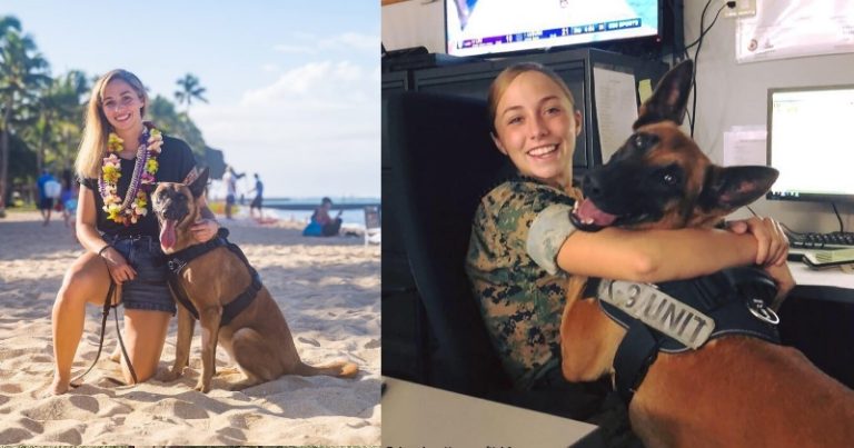 Vojenská láska bez hranic: Krásná vojačka adoptuje věrného psa K-9 po dvou letech společného výcviku